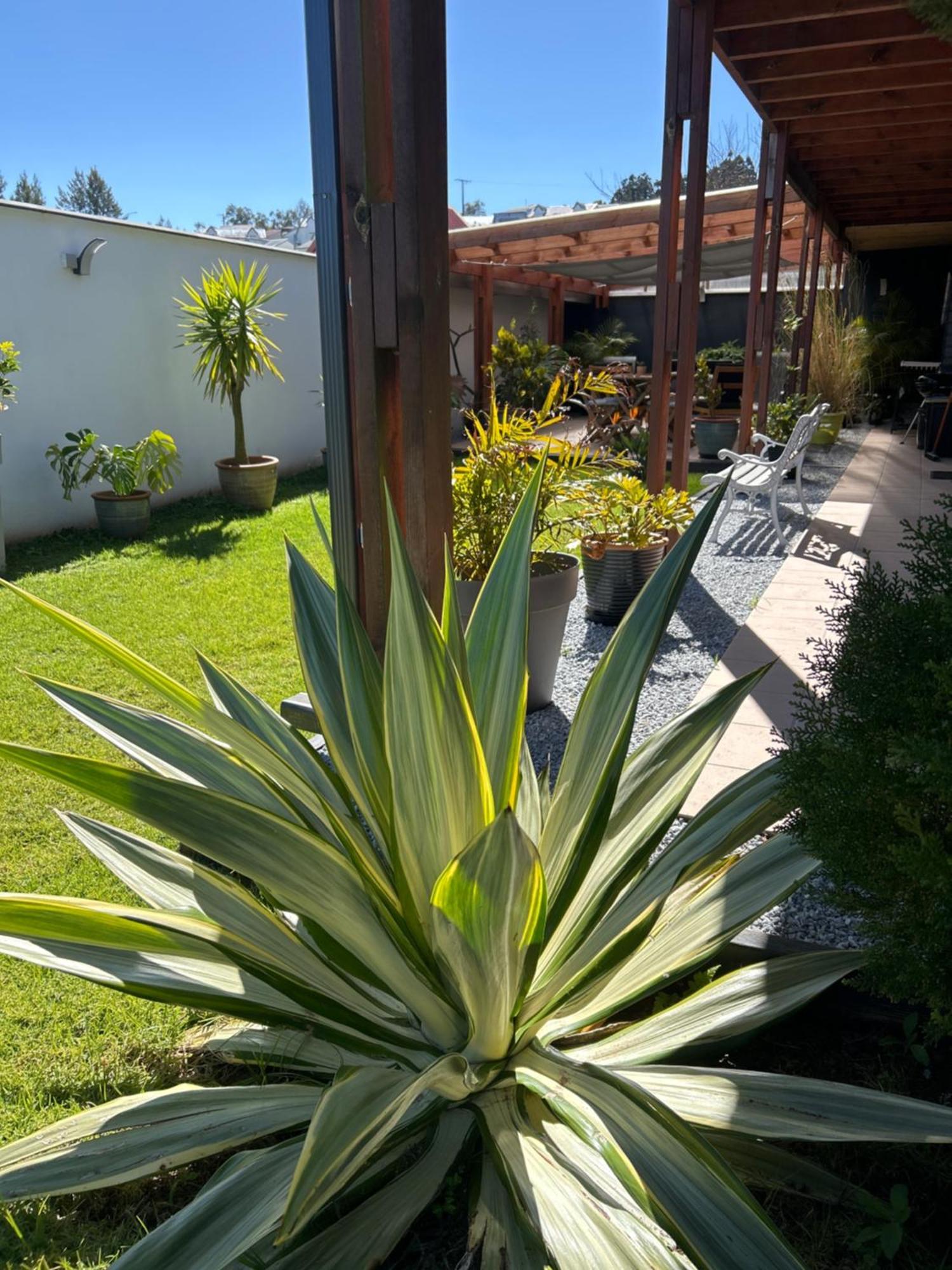 Vulkan'O La Plaine des Cafres Exterior foto